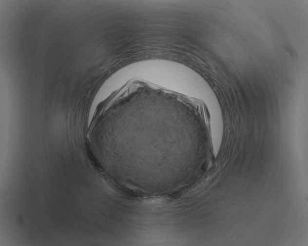 X0000116280235200912291359