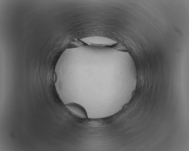X0000116280236200912291359