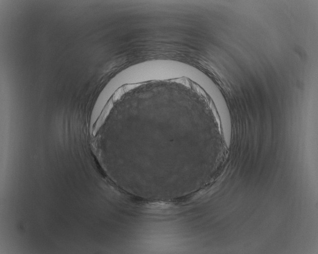 X0000116280237200912291359