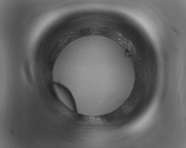 X0000116280239200912291359