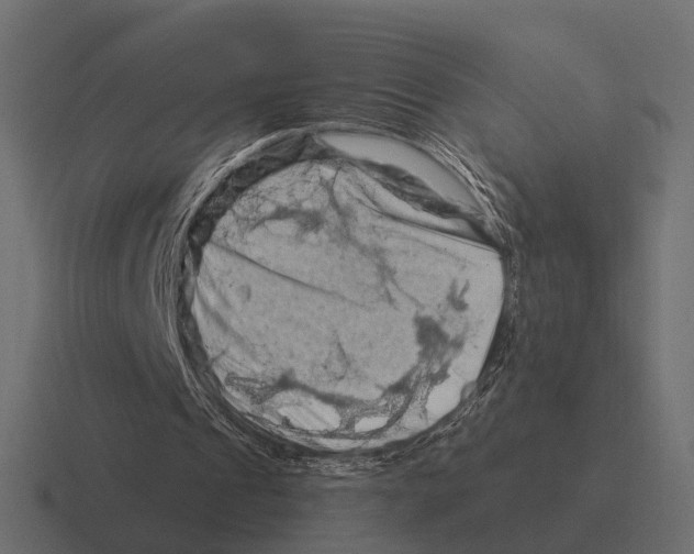 X0000116280241200912291358