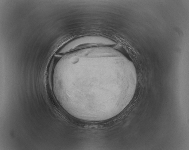 X0000116280242200912291358