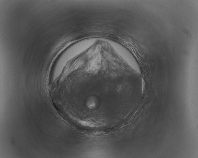 X0000116280243200912291358