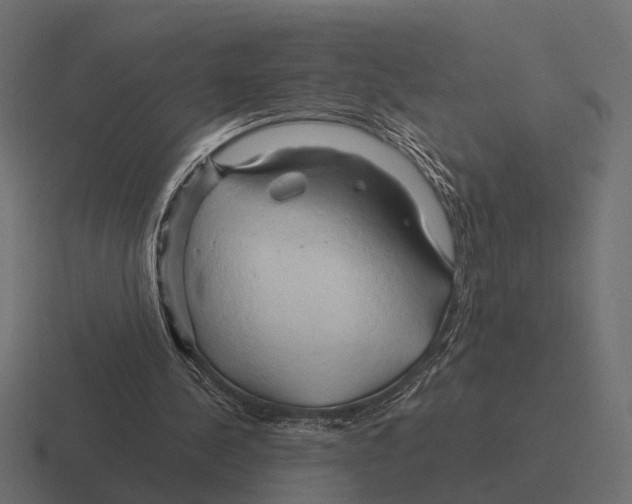 X0000116280244200912291358