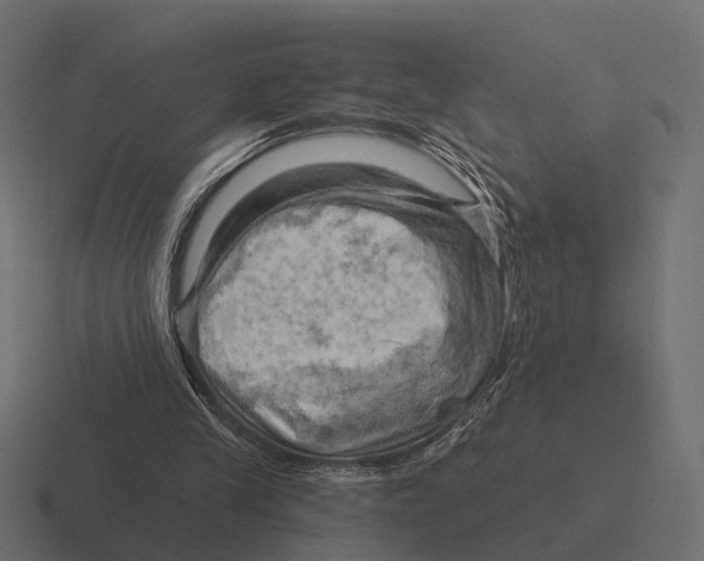 X0000116280245200912291358