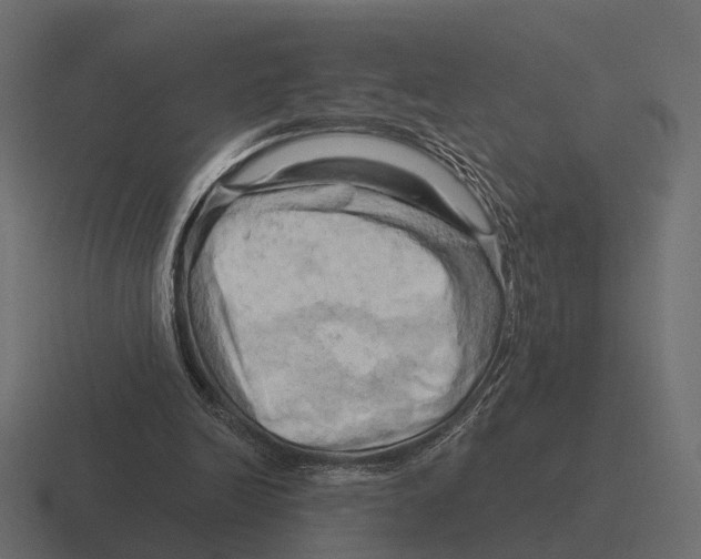 X0000116280246200912291358