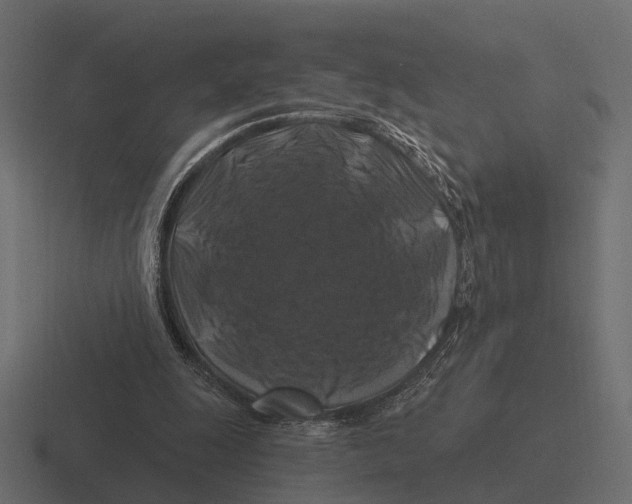 X0000116280247200912291358