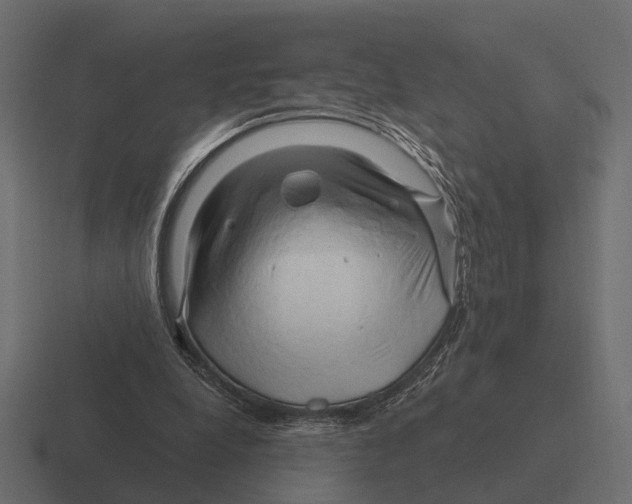 X0000116280248200912291358