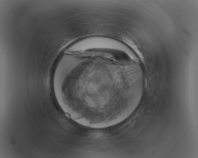 X0000116280249200912291358