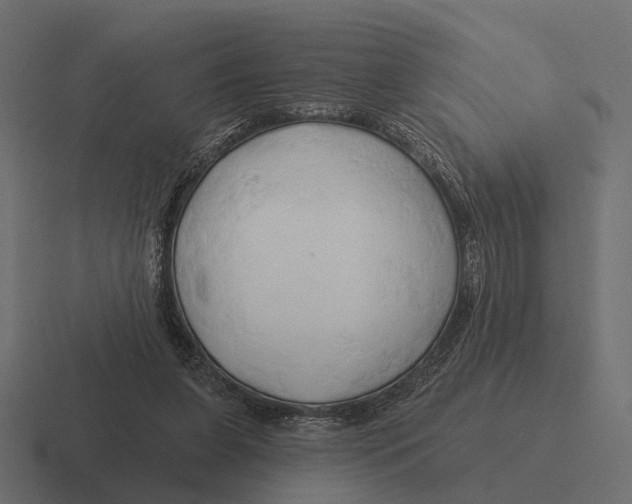 X0000116280255200912291358