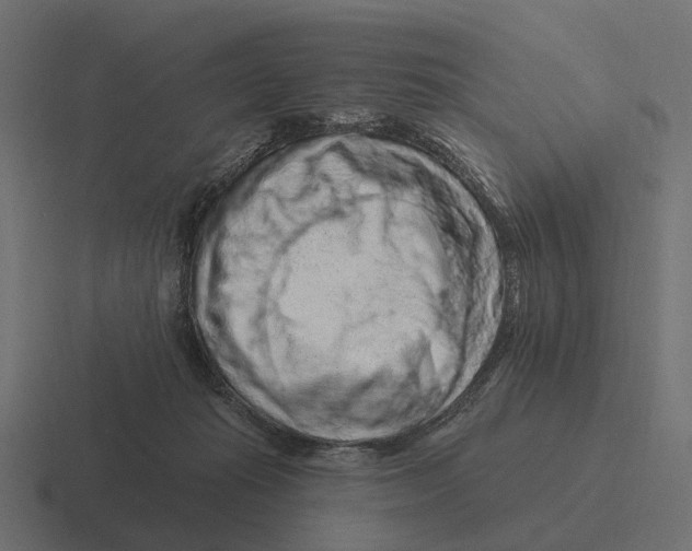 X0000116280269200912291358