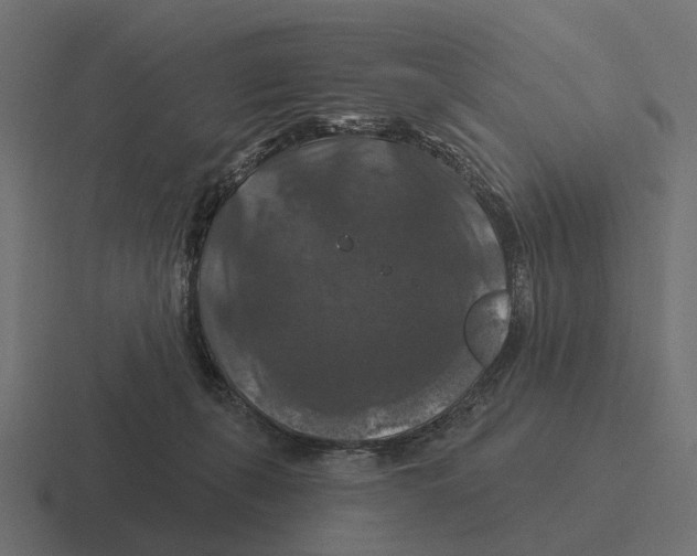 X0000116280271200912291359