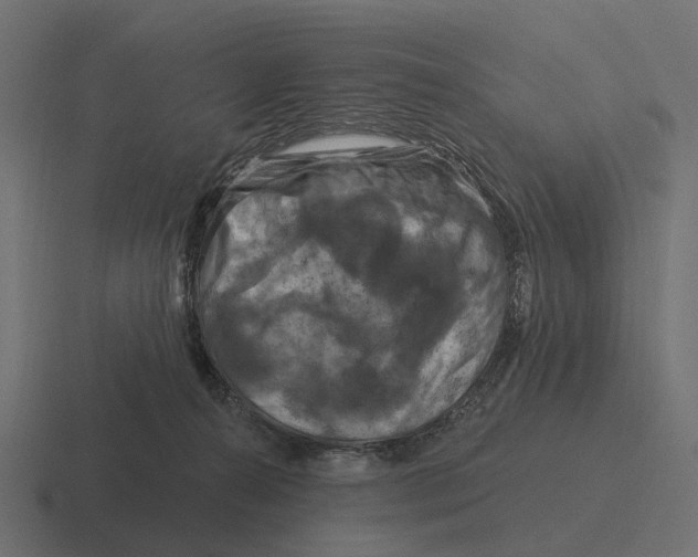 X0000116280272200912291359