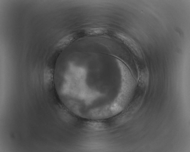 X0000116280284200912291359
