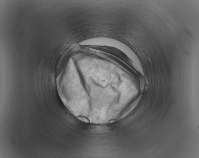X0000116280286200912291359