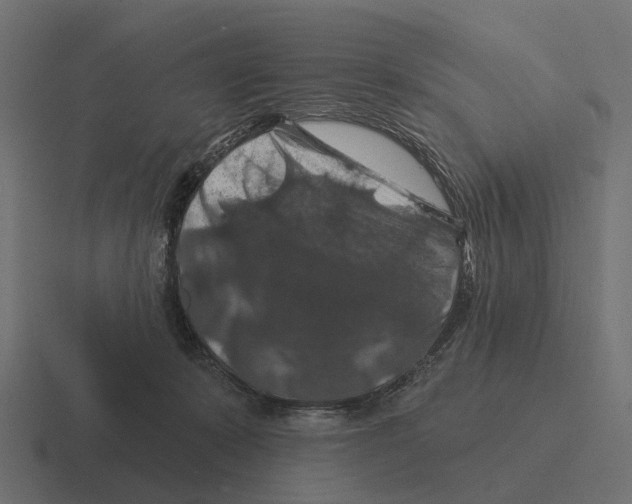 X0000116280319200912291358