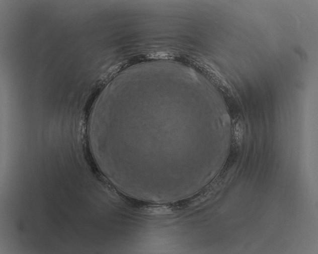 X0000116280322200912291358