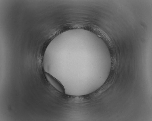X0000116280329200912291358