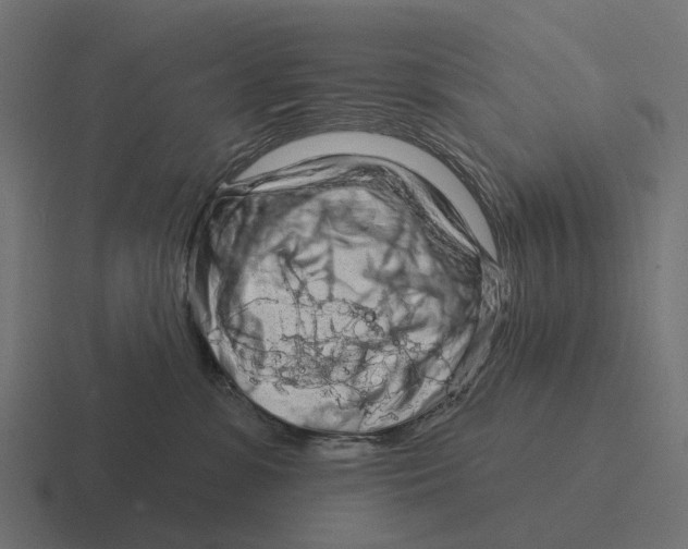X0000116280331200912291358