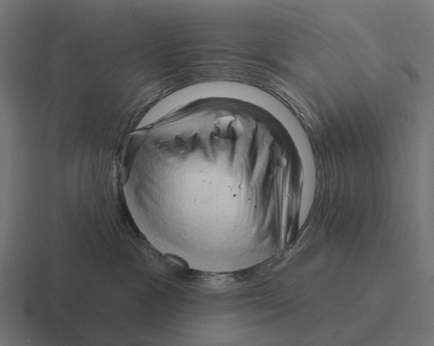X0000116280333200912291358