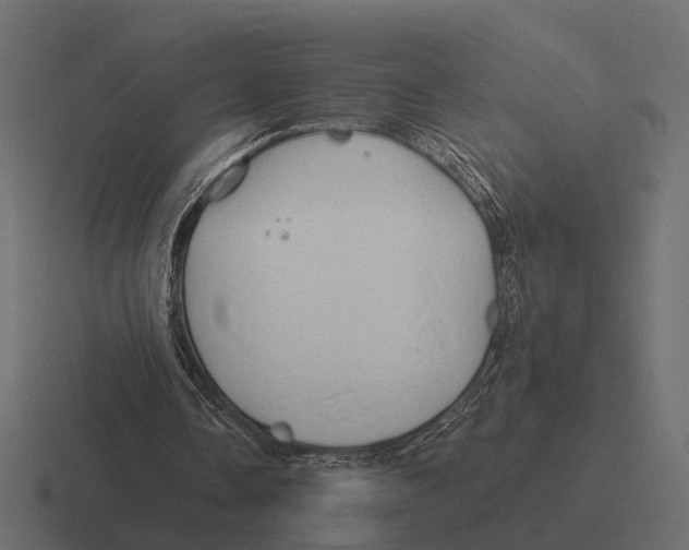 X0000116280338200912291357