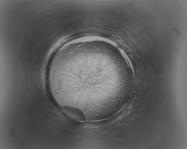X0000116280341200912291357