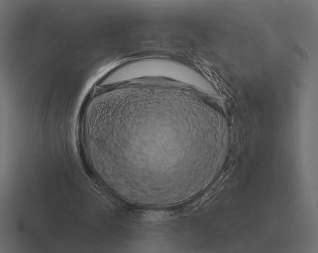 X0000116280342200912291357