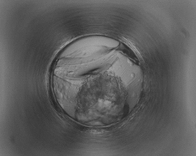X0000116280346200912291357