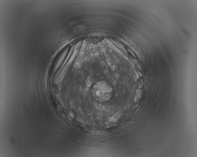 X0000116280347200912291357