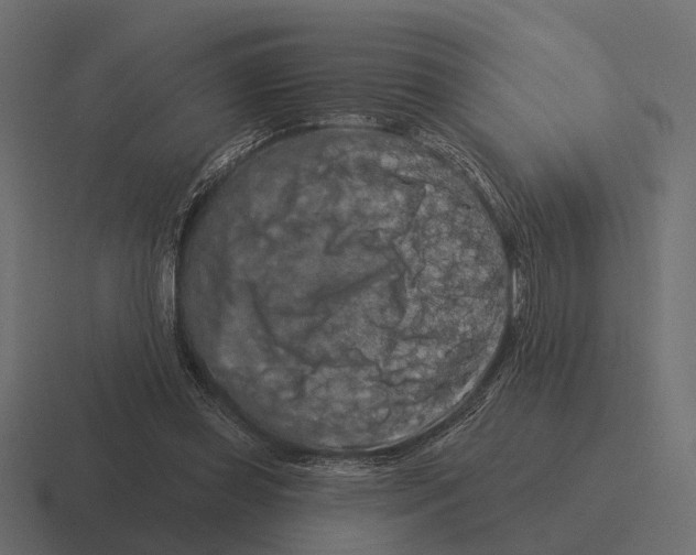 X0000116280349200912291357