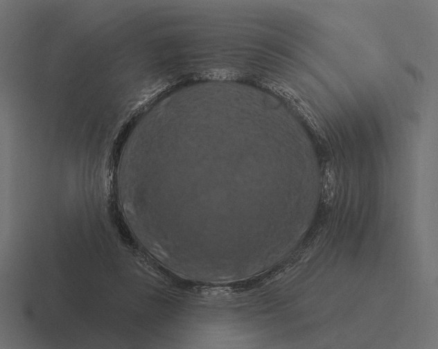 X0000116280355200912291357