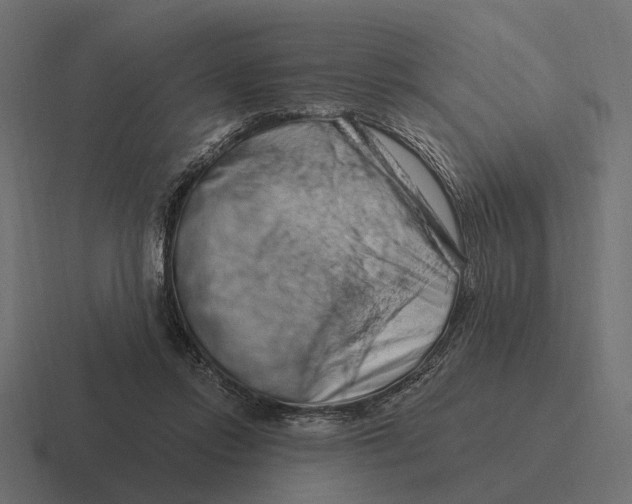 X0000116280358200912291357