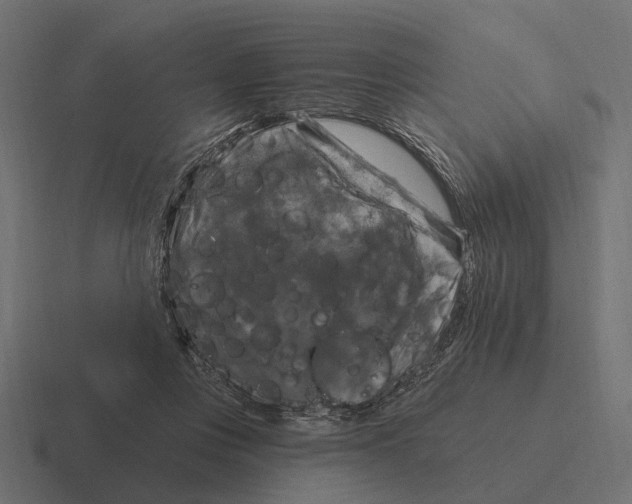 X0000116280359200912291357