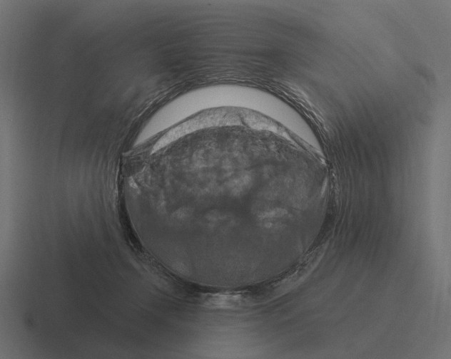 X0000116280366200912291357