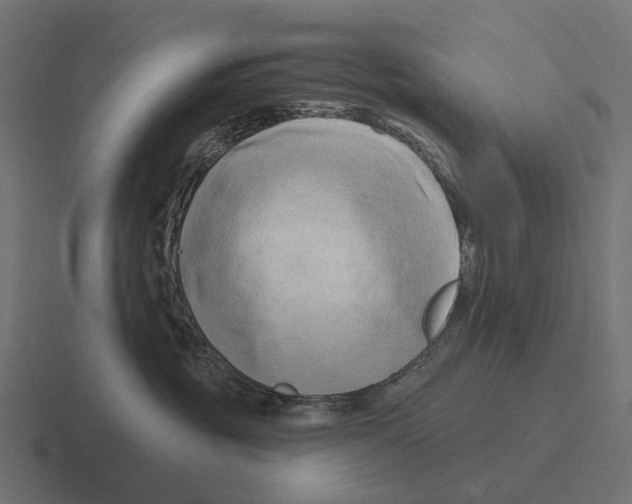 X0000116280381200912291357