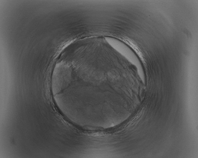 X0000116280385200912291357