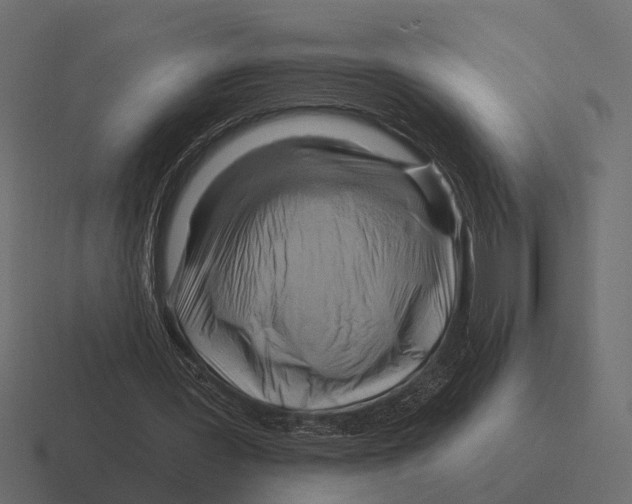 X0000116280387200912291357