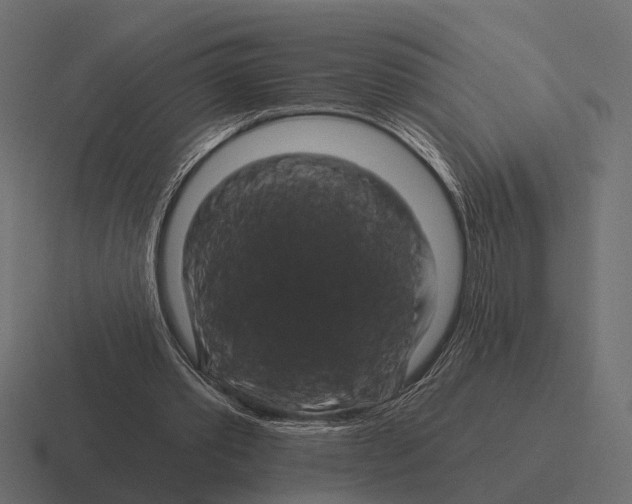 X0000116280389200912291357