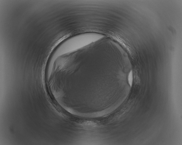 X0000116280390200912291357