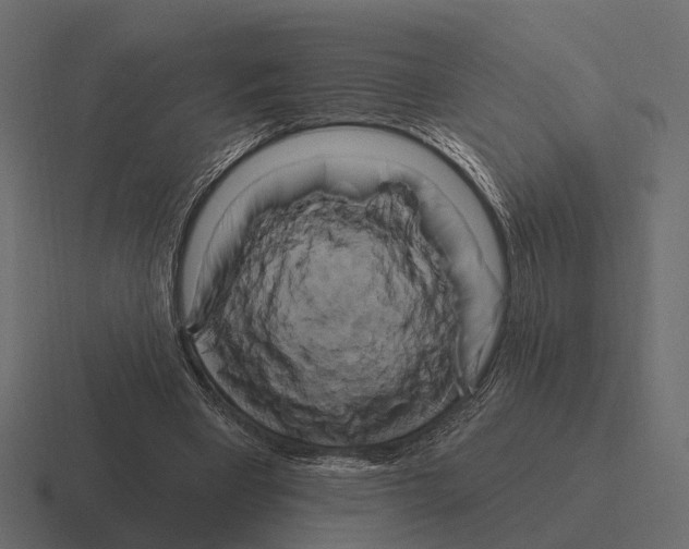 X0000116280393200912291357