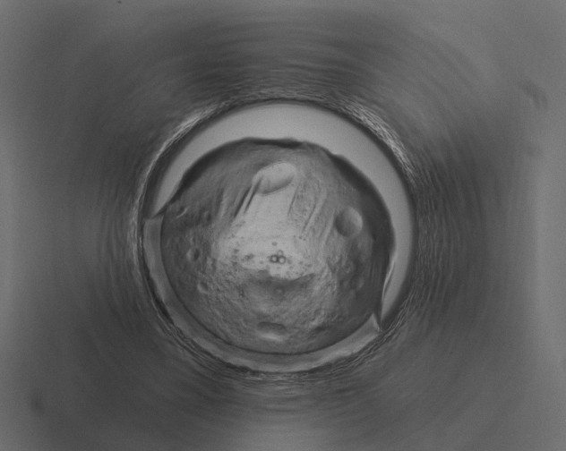 X0000116280395200912291357