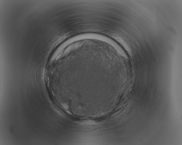 X0000116280397200912291357