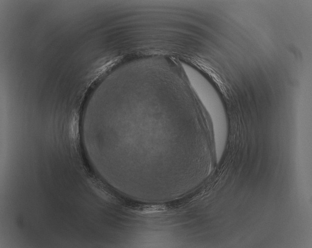 X0000116280398200912291357