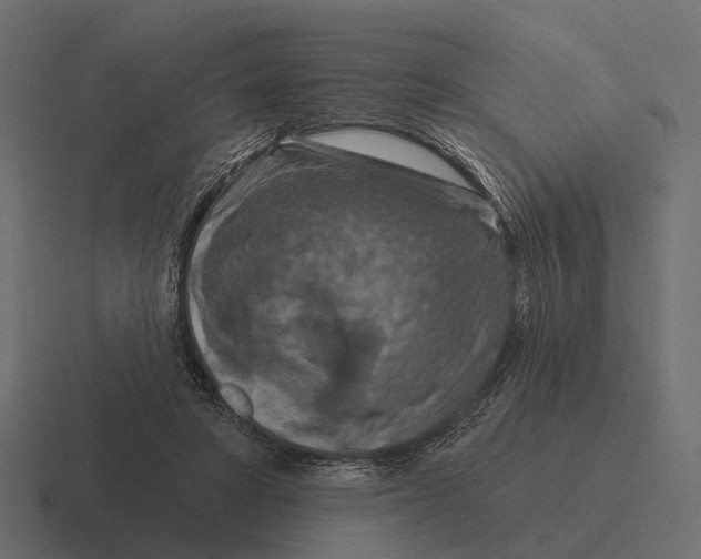 X0000116280402200912291357