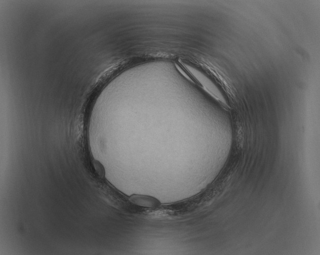 X0000116280407200912291357