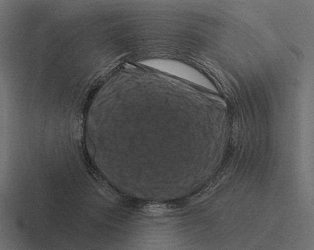 X0000116280413200912291357