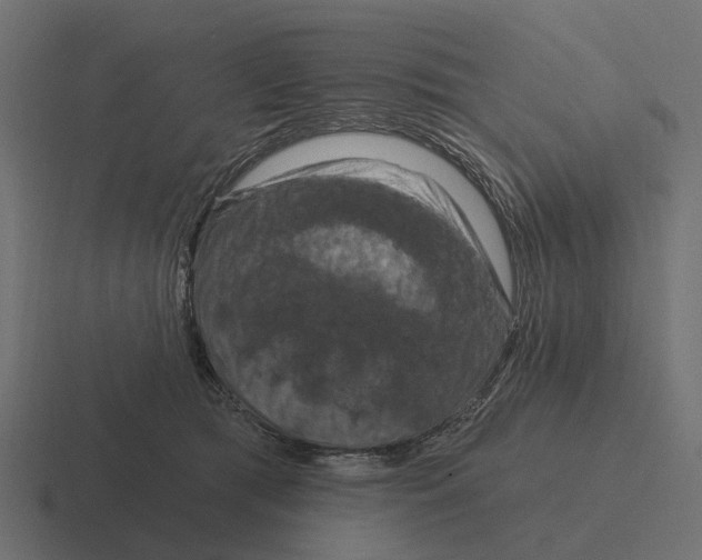 X0000116280417200912291357