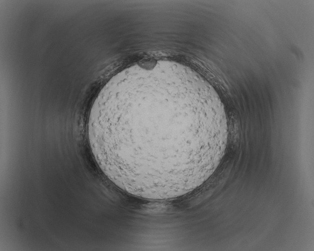 X0000116280418200912291356