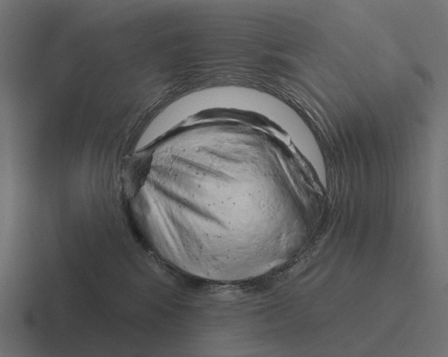 X0000116280424200912291356