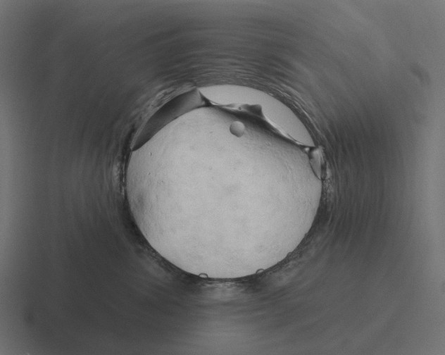 X0000116280428200912291356